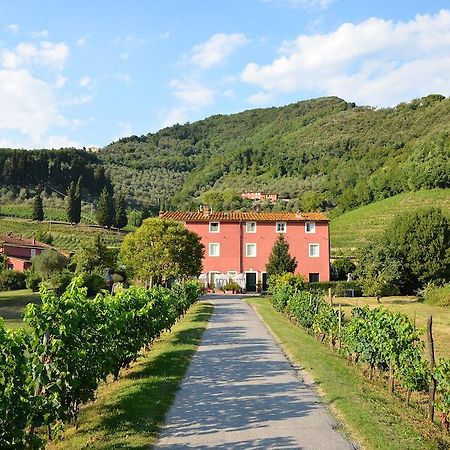 Agriturismo Le Murelle Lucca Exteriör bild