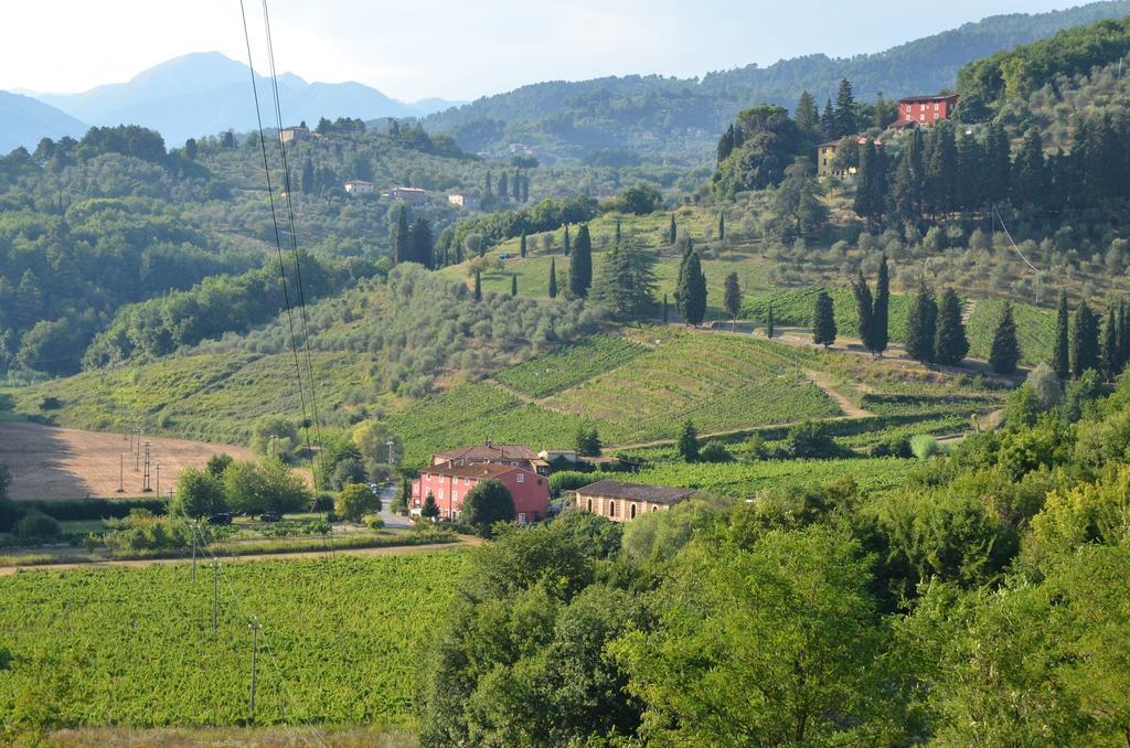 Agriturismo Le Murelle Lucca Exteriör bild