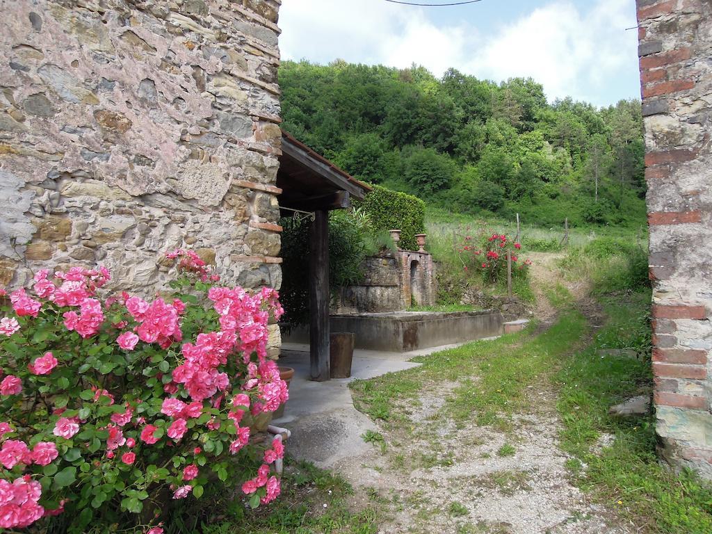 Agriturismo Le Murelle Lucca Exteriör bild